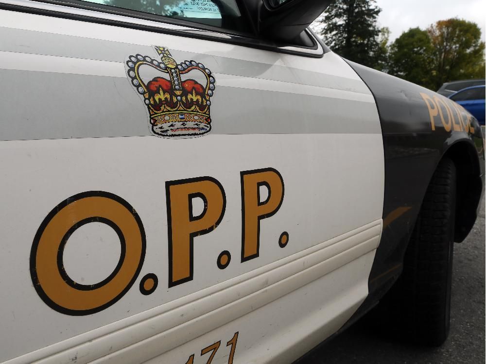 OPP appeal to public for info following Tecumseh restaurant robbery