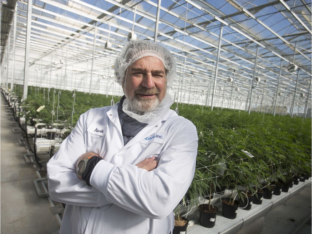 Critics argue Ontario's slow pace on pot retail threatens local jobs, investments